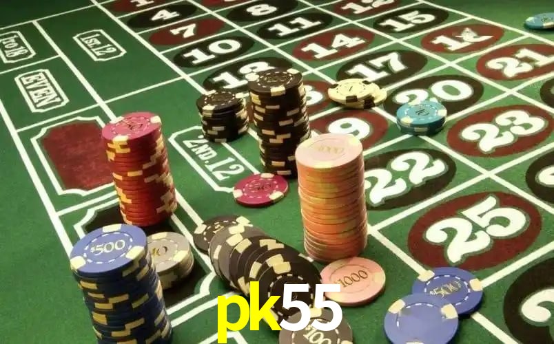 Experiência VIP pk55
