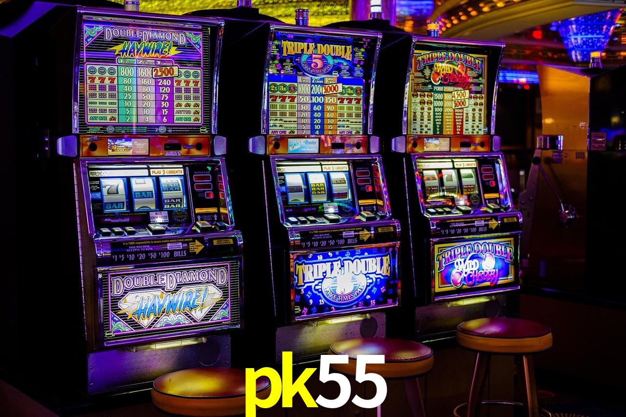 Experiência VIP pk55